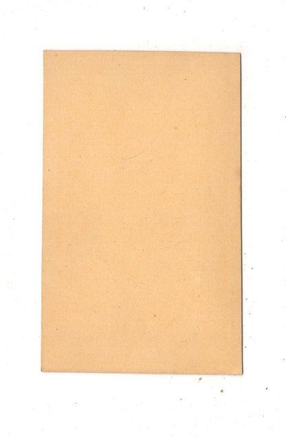 Fotografie Herrenportrait - Nürnberg um 1870