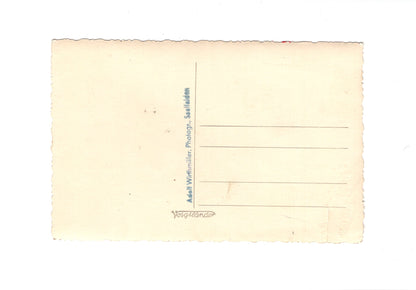 Ansichtskarte Herrenportrait / Feiner Herr - Saalfelden