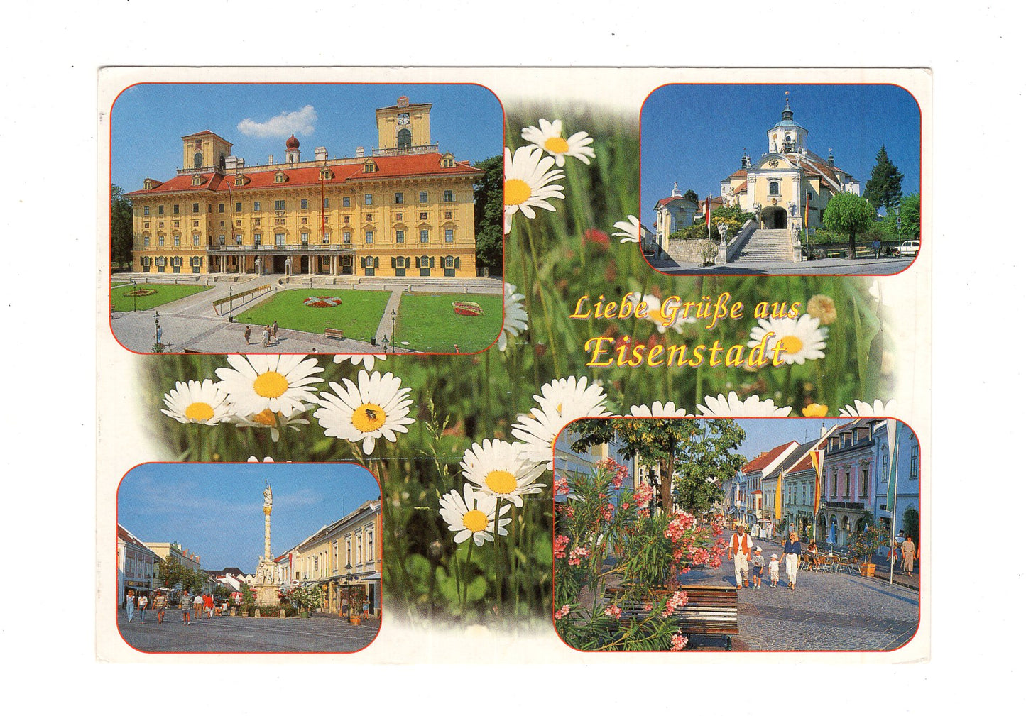 Ansichtskarte Eisenstadt / Burgenland / Österreich