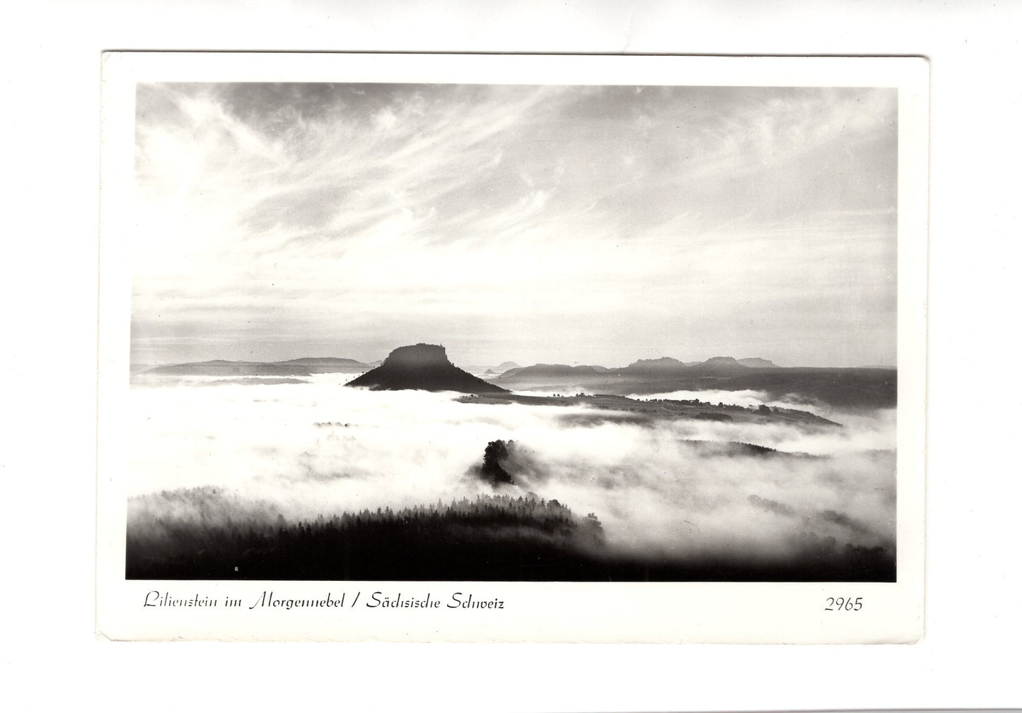 Ansichtskarte Sächsische Schweiz / Lilienstein im Morgennebel