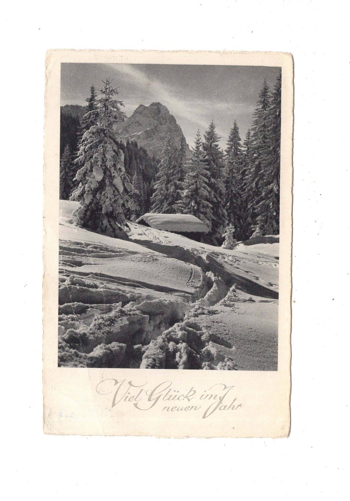 Ansichtskarte Feiertage / Frohes neues Jahr / L1-51