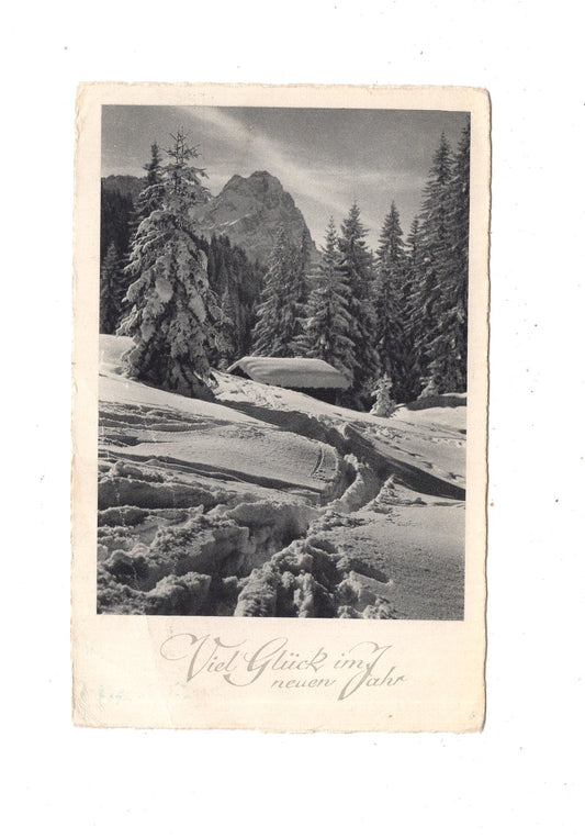 Ansichtskarte Feiertage / Frohes neues Jahr / L1-51