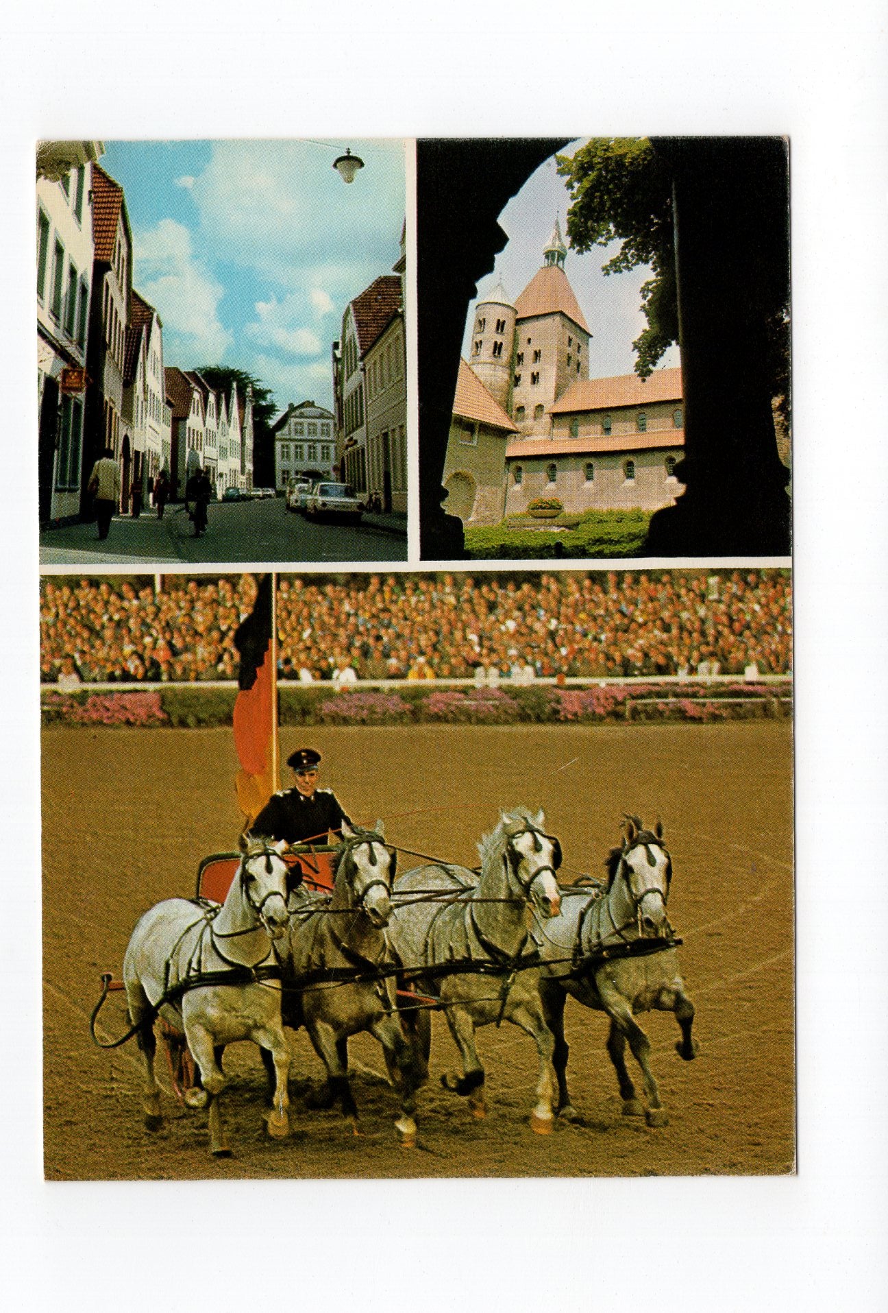 Ansichtskarte Warendorf / Ems / Hengstparade +++