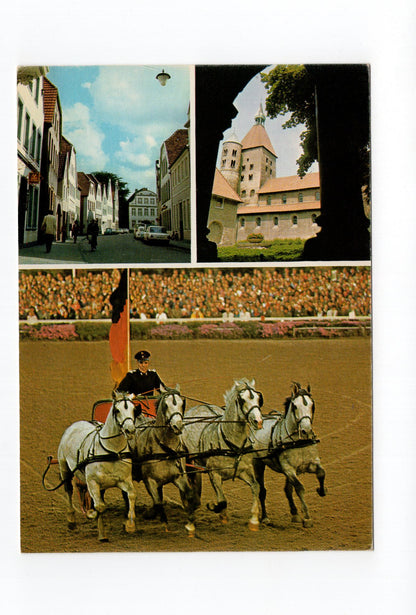 Ansichtskarte Warendorf / Ems / Hengstparade +++