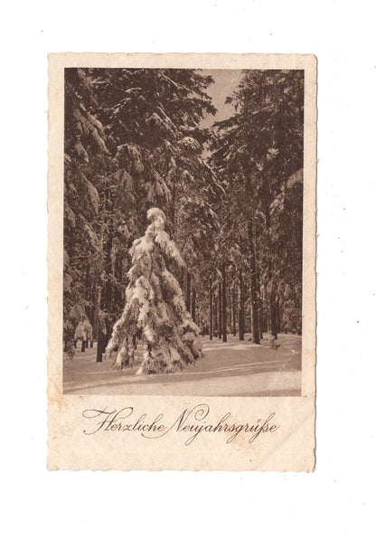 Ansichtskarte Feiertage / Frohes neues Jahr / L1-51