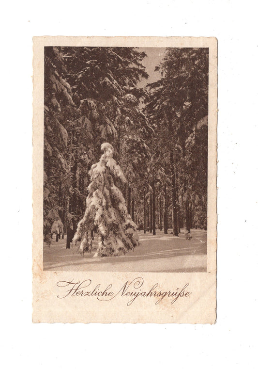 Ansichtskarte Feiertage / Frohes neues Jahr / L1-51