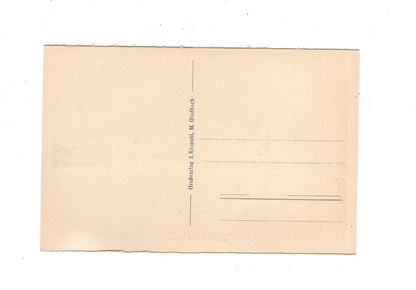 Ansichtskarte Cochem an der Mosel / M1-57