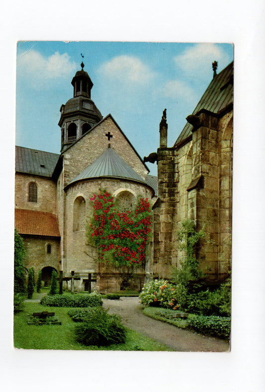 Ansichtskarte Hildesheim / Dom mit tausendjährigem Rosenstock