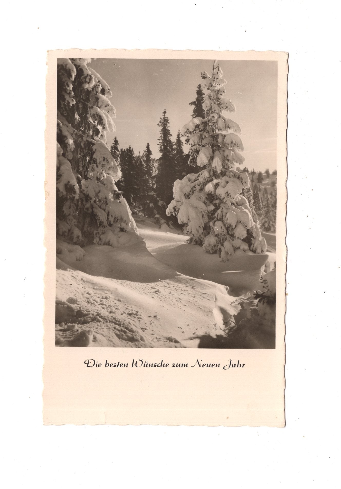 Ansichtskarte Feiertage / Frohes neues Jahr / L1-51