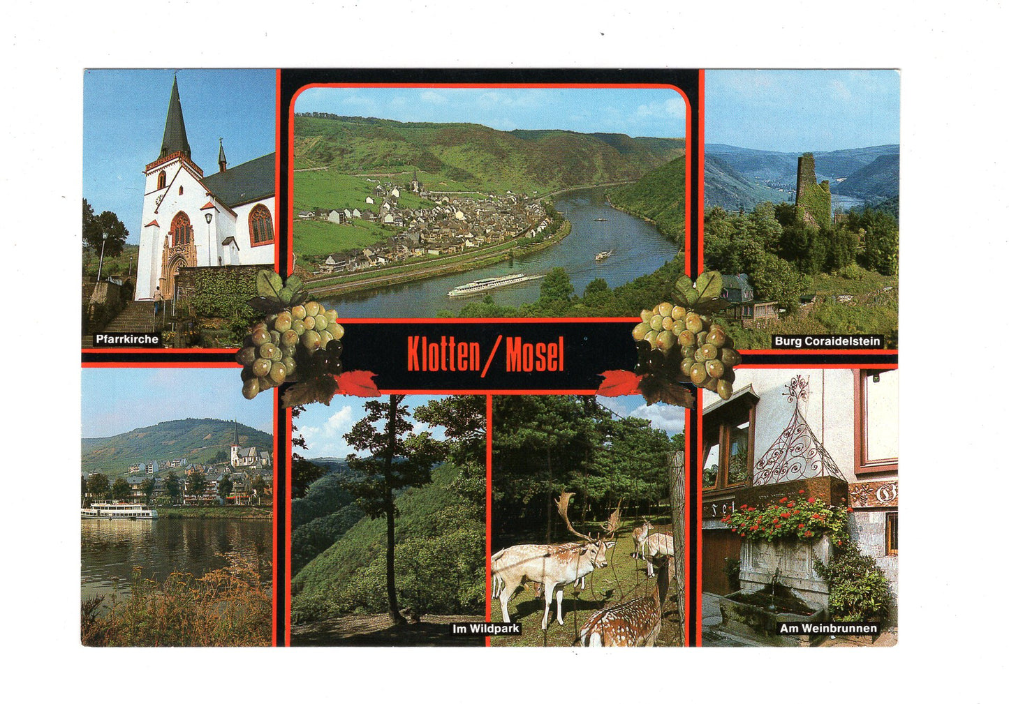 Ansichtskarte Klotten / Mosel / H1-66