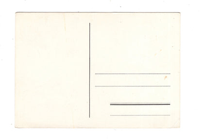 Ansichtskarte Feiertage / Frohes neues Jahr / L1-51