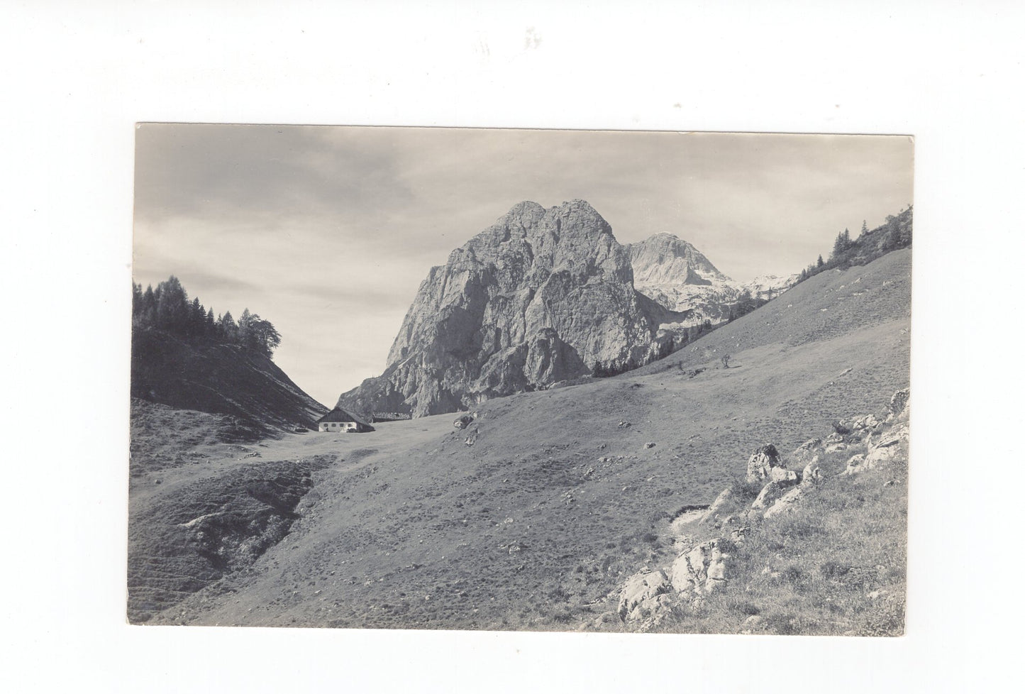 Ansichtskarte Halsalm / Oberbayern