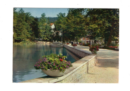 Ansichtskarte Bad Sachsa / Südharz / Am Schmelzteich