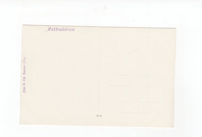 Ansichtskarte Palfenhörner