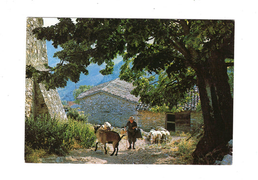 Ansichtskarte Bergere et son troupeau / Frankreich