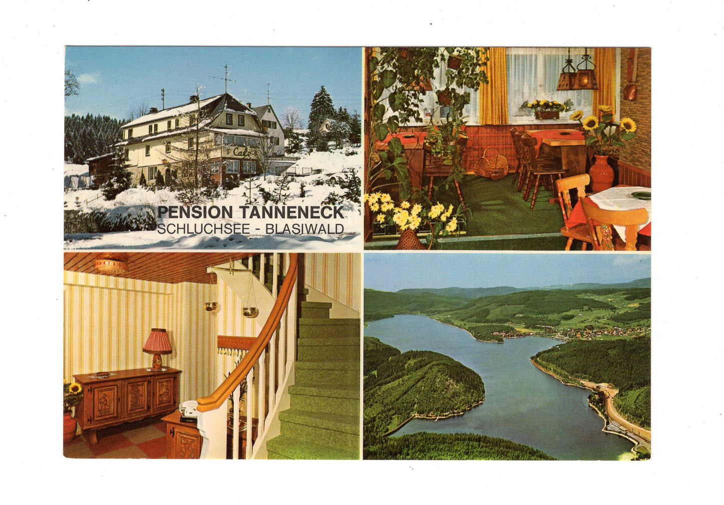 Ansichtskarte Pension Tanneck / Schluchsee - Blasiwald