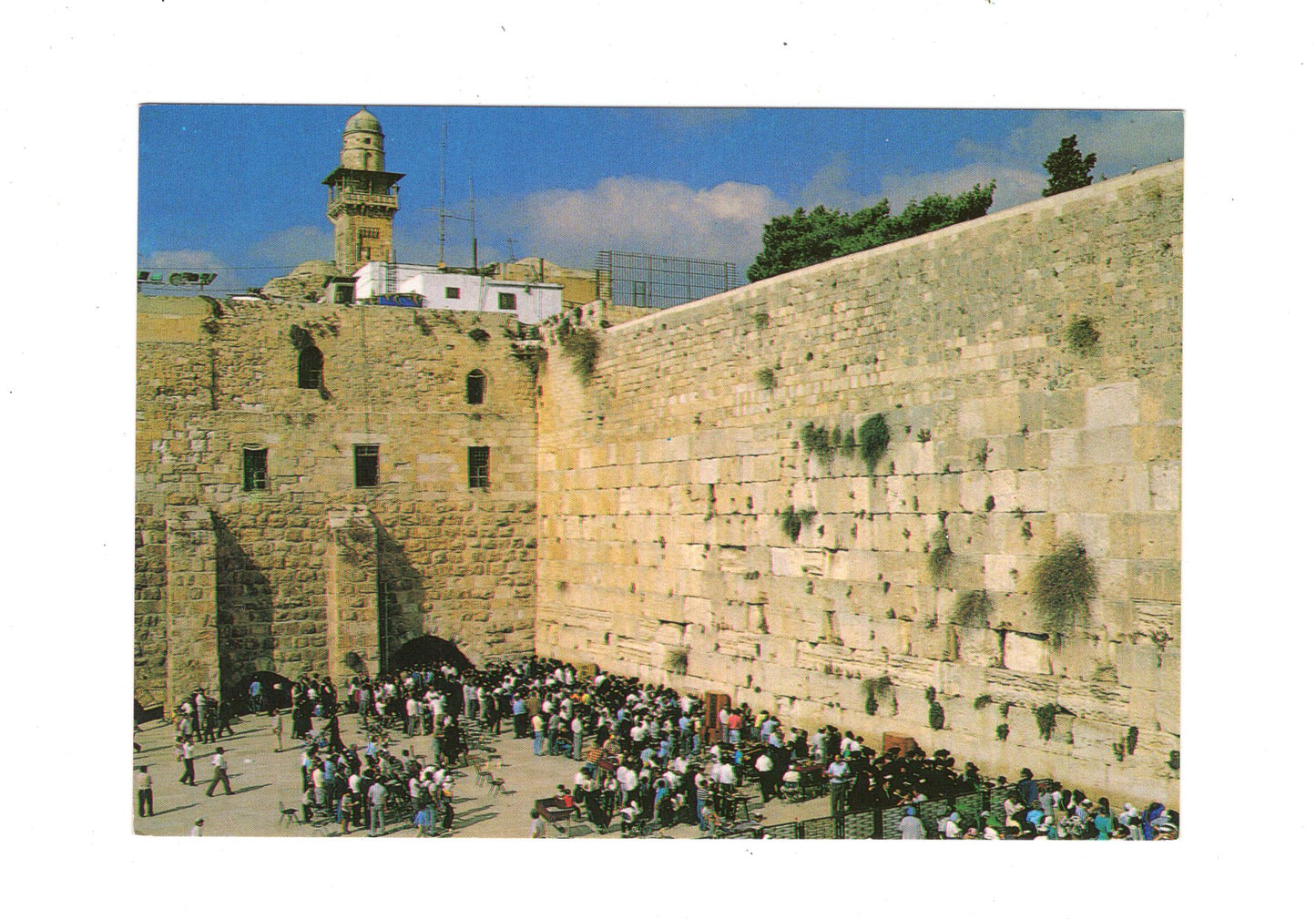 Ansichtskarte The Western Wall / Jerusalem / Israel