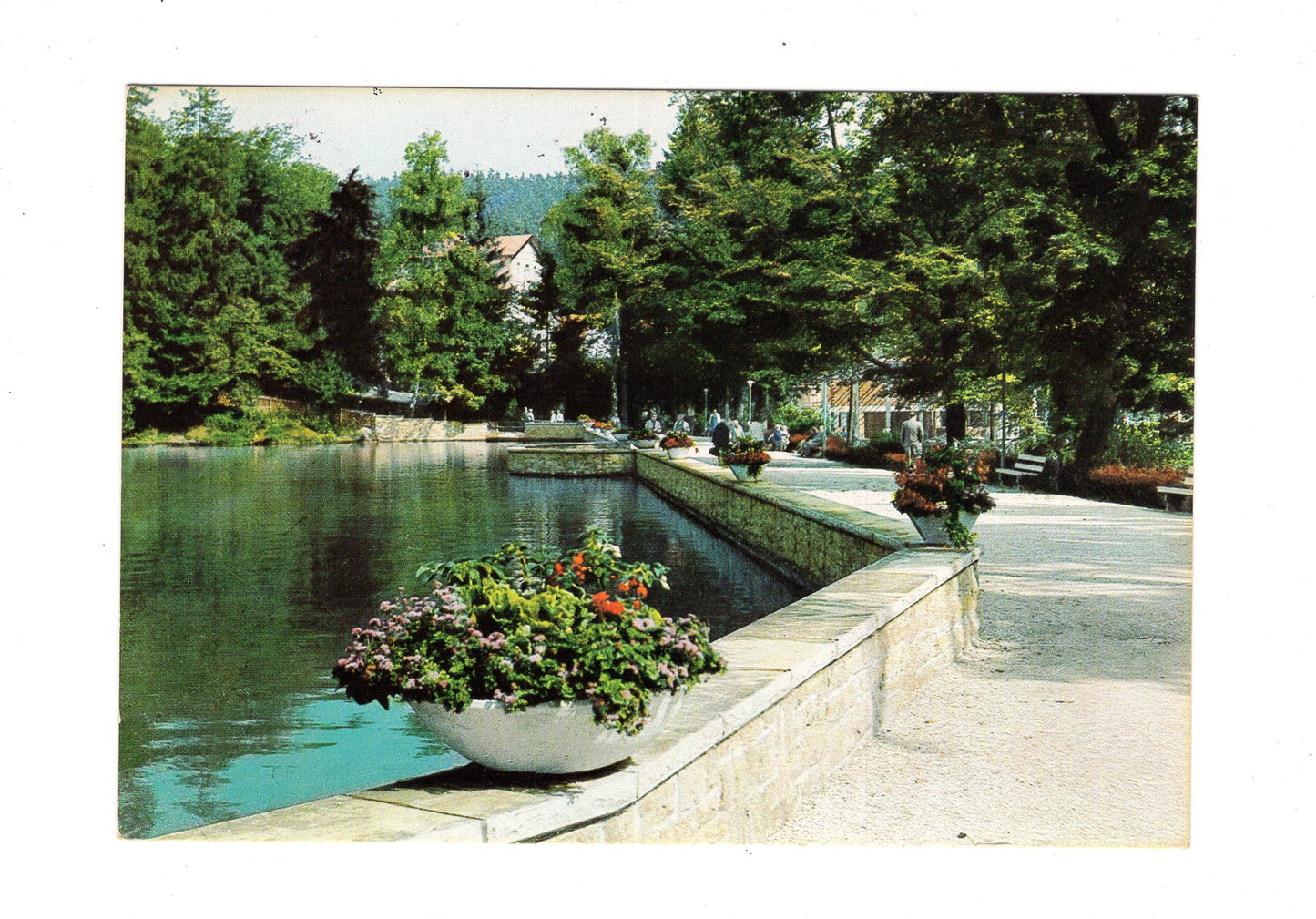 Ansichtskarte Bad Sachsa / Südharz / Am Schmelzteich
