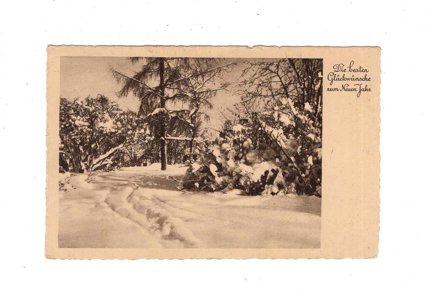 Ansichtskarte Feiertage / Frohes neues Jahr / L1-51