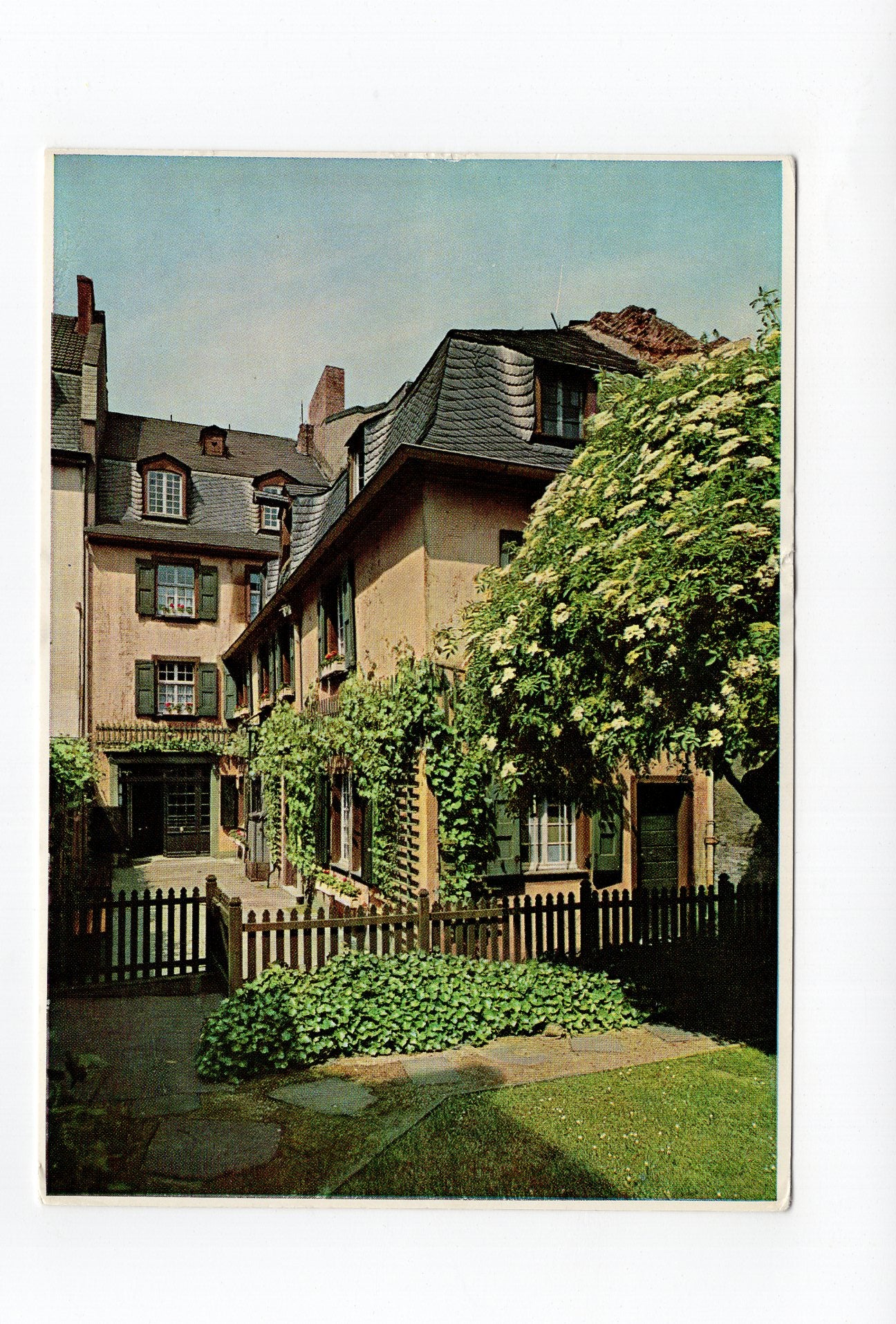 Ansichtskarte Bonn / Beethovens Geburtshaus