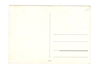 Ansichtskarte Grüße vom schönen Deutschen Rhein / H1-66