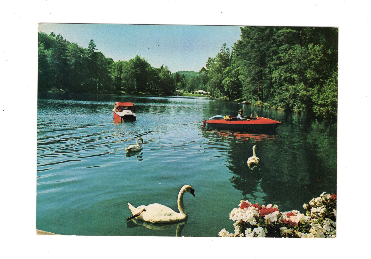Ansichtskarte Bad Sachsa / Südharz / Schmelzteich