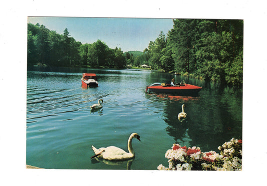 Ansichtskarte Bad Sachsa / Südharz / Schmelzteich