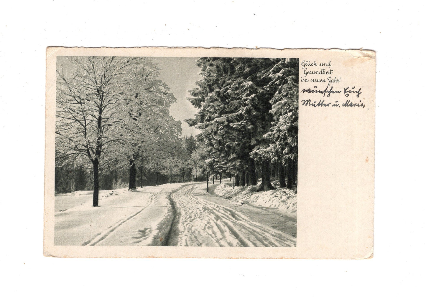 Ansichtskarte Feiertage / Frohes neues Jahr / L1-52