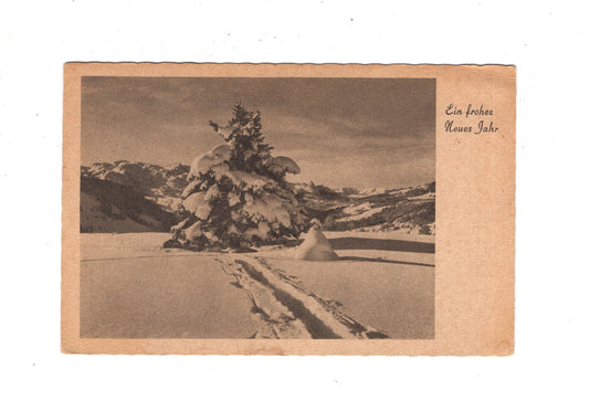 Ansichtskarte Feiertage / Frohes neues Jahr / L1-52