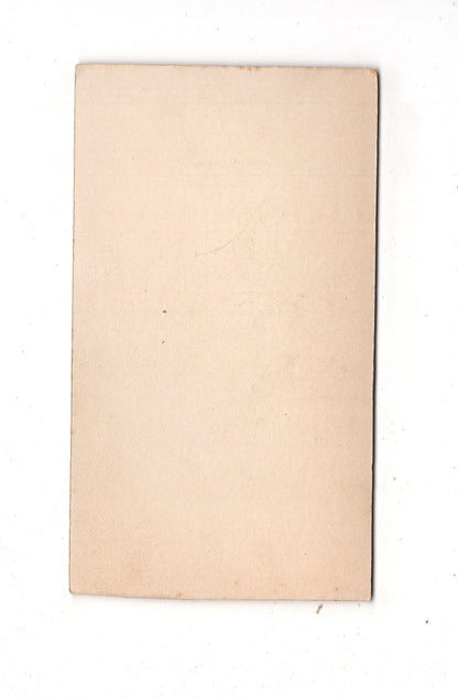 Fotografie Feines junges Mädchen - unbekannter Ort um 1910 / CDV N1-02