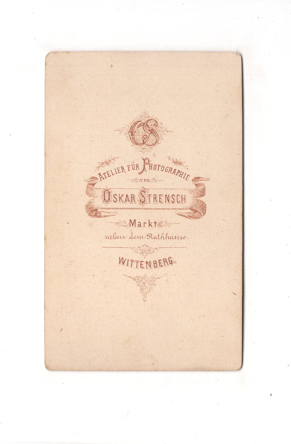 Fotografie Damenportrait - Wittenberg um 1880 / CDV C1-17