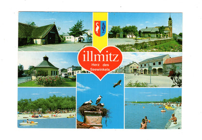Ansichtskarte Illmitz im Seewinkel / Burgenland / Österreich