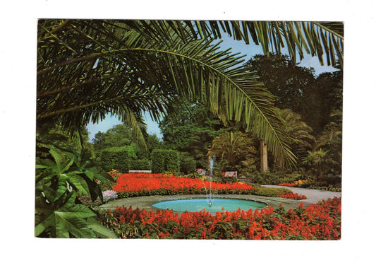 Ansichtskarte Bad Pyrmont / Palmengarten im Kurpark