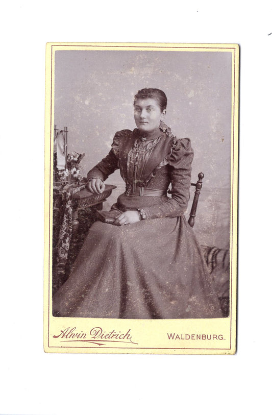 Fotografie Feine Dame - Waldenburg 1890er