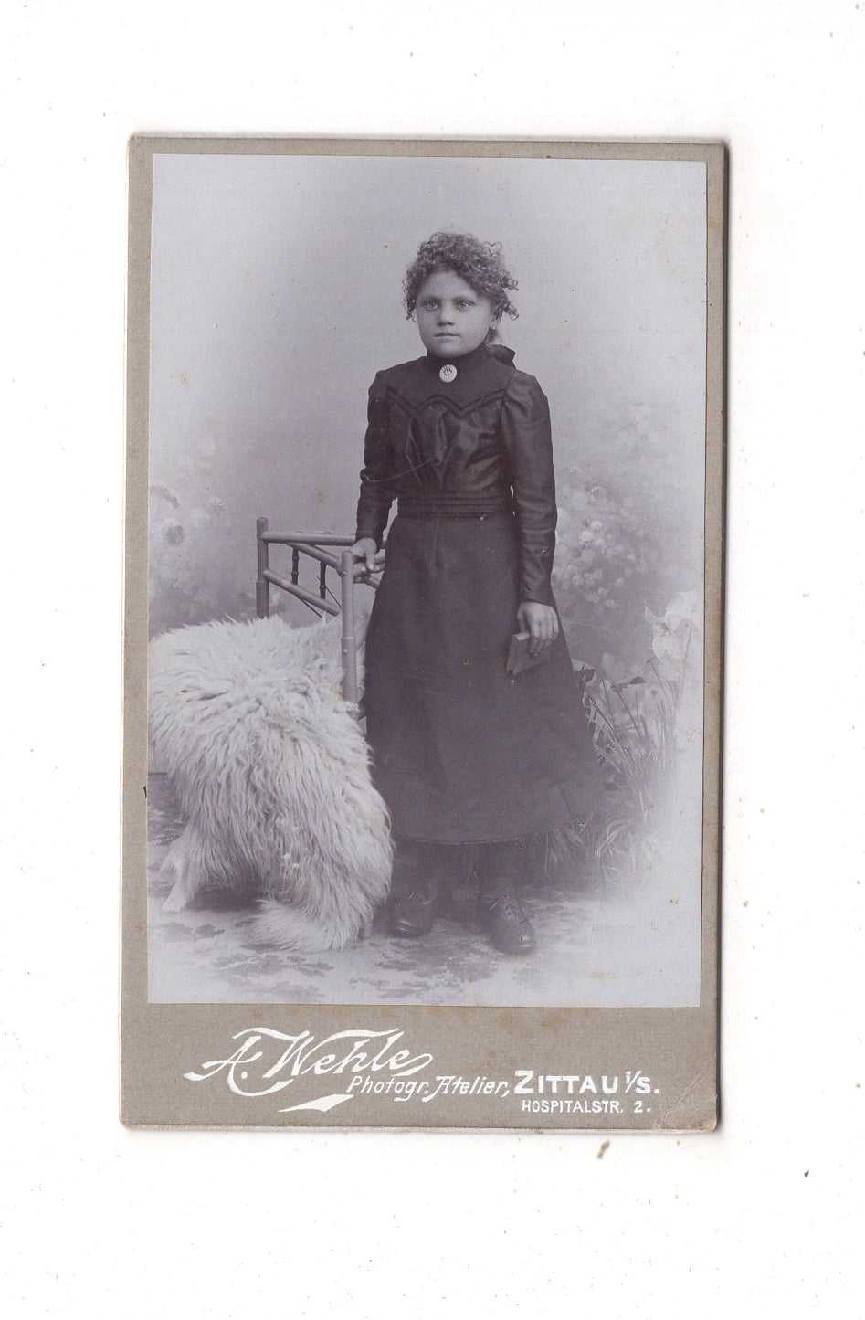 Fotografie Feines junges Mädchen - Zittau um 1900 / CDV N1-02