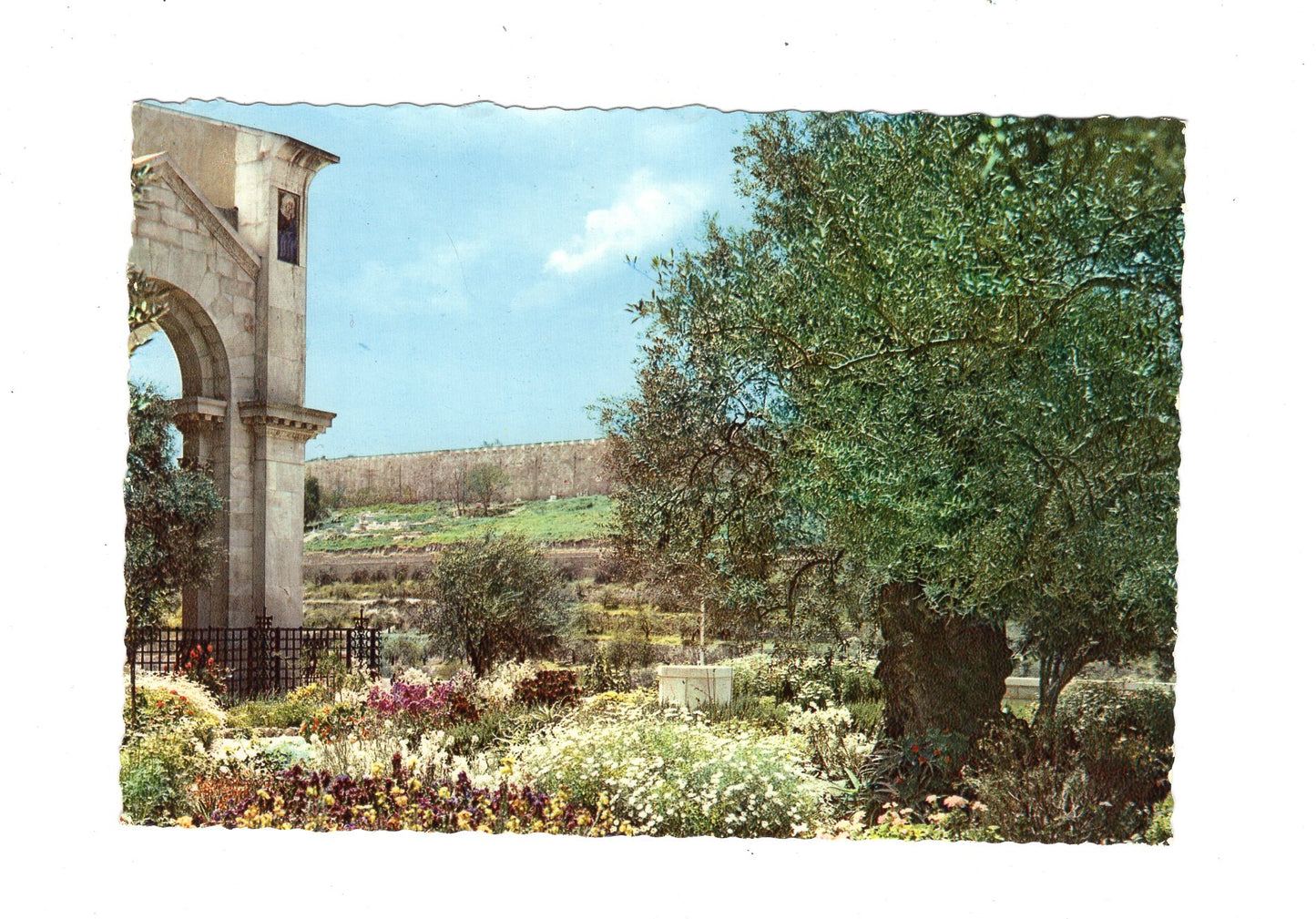 Ansichtskarte Garden of Gethsemane / Jerusalem / Israel