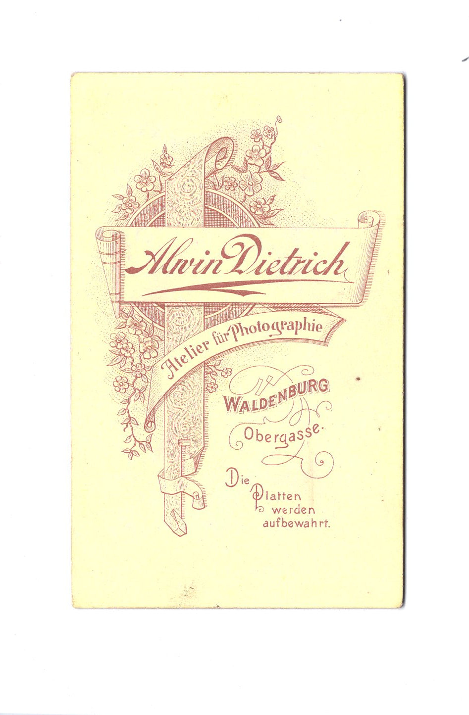 Fotografie Feine Dame - Waldenburg 1890er