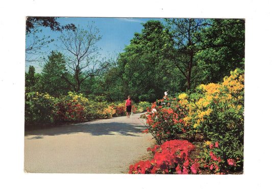 Ansichtskarte Bad Pyrmont / Kurpark / Azaleenweg