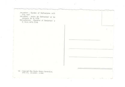 Ansichtskarte Garden of Gethsemane / Jerusalem / Israel
