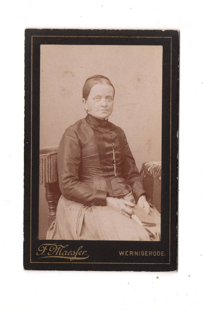 Fotografie Feine Dame - Wernigerode 1880er