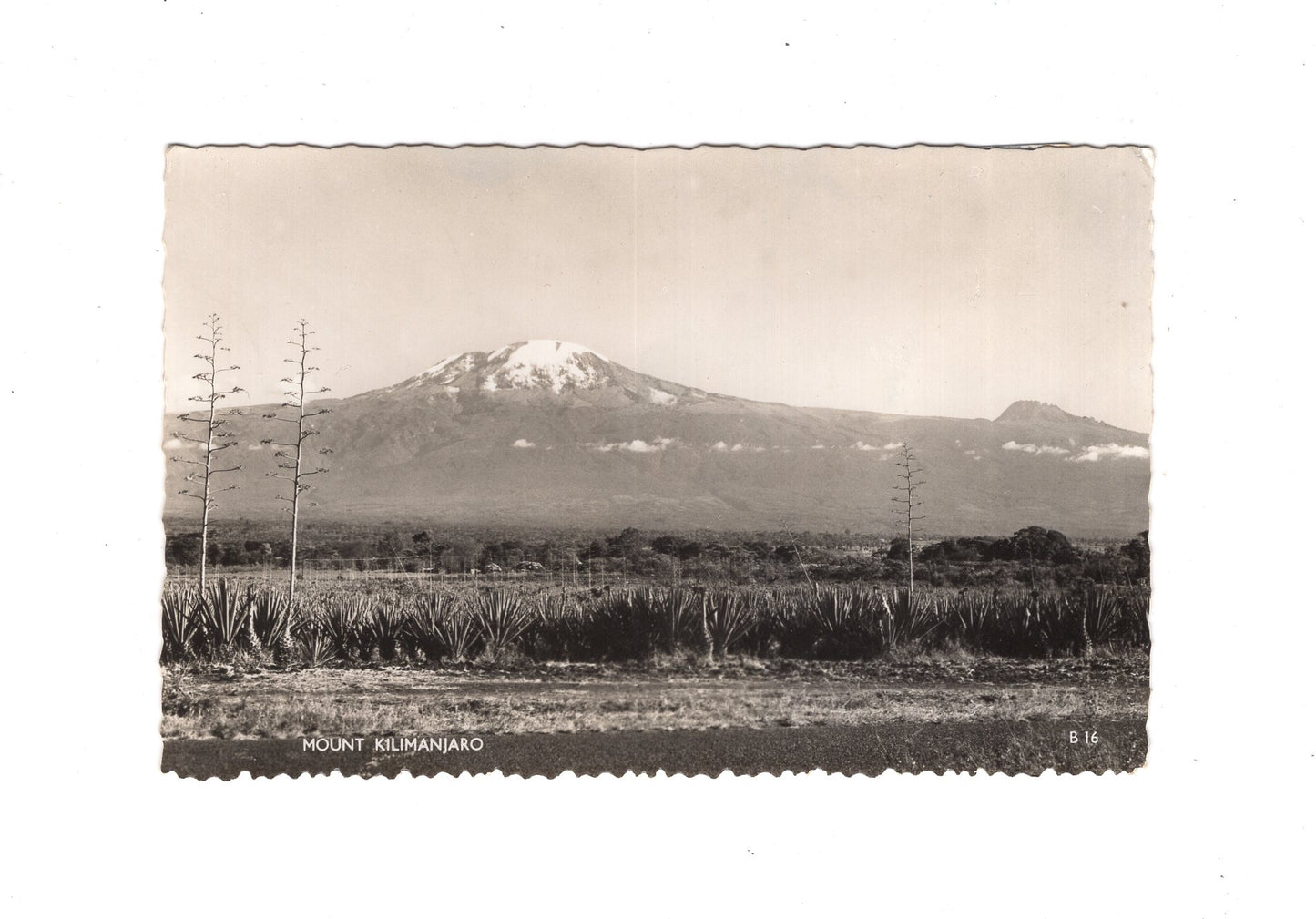 Ansichtskarte Mount Kilimanjaro Kilimandscharo / Tansania