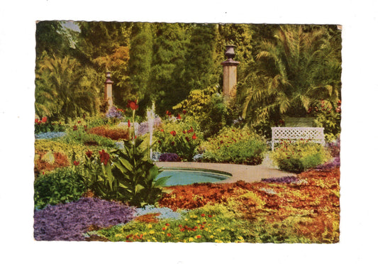 Ansichtskarte Bad Pyrmont / Partie im Palmengarten