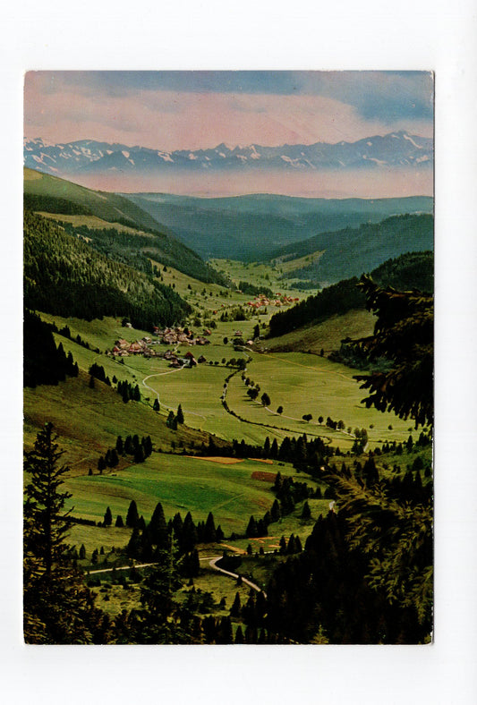 Ansichtskarte Blick vom Feldberg ins Menzenschwander Tal