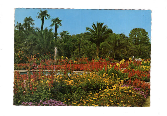 Ansichtskarte Bad Pyrmont / Partie im Palmengarten