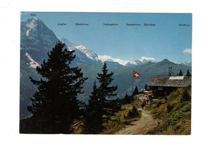 Ansichtskarte Grindelwald / Berghaus Waldspitz / Schweiz