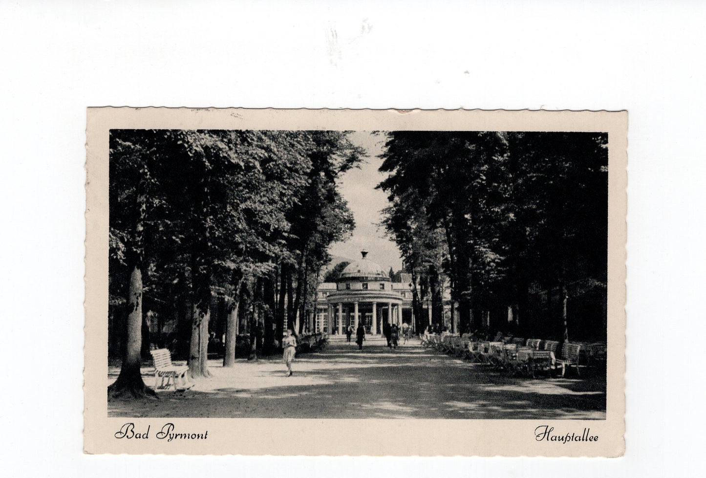 Ansichtskarte Bad Pyrmont / Hauptallee