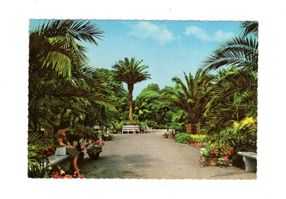 Ansichtskarte Bad Pyrmont / Palmengarten im Kurpark