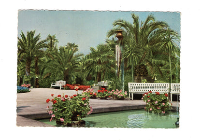 Ansichtskarte Bad Pyrmont / Palmengarten im Kurpark