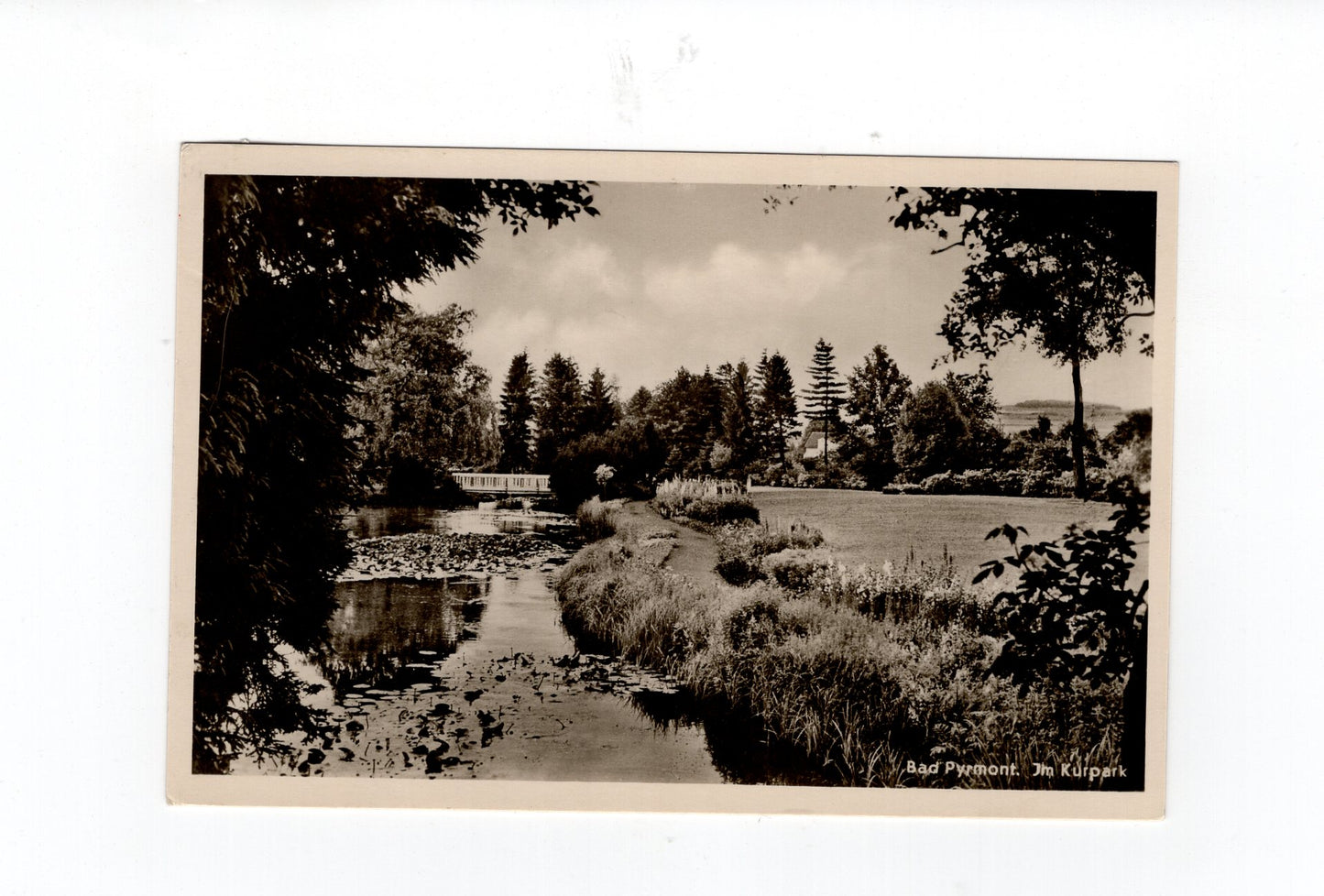 Ansichtskarte Bad Pyrmont / Im Kurpark