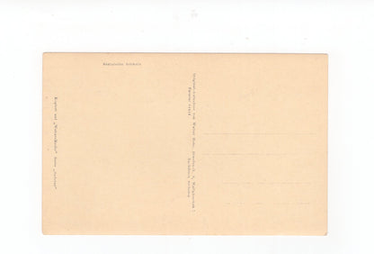 Ansichtskarte Festung Königstein / Königsnase mit Stadt Königstein